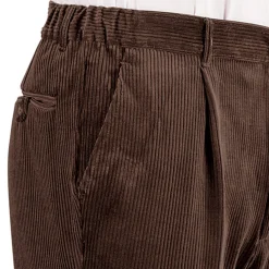 Bandplooibroek in velours met elastische tailleband