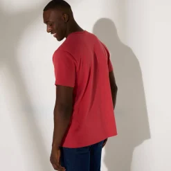 Effen T-shirt met ronde hals en korte mouwen - biologisch katoen