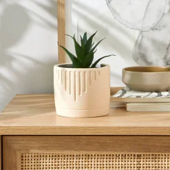 Groene kunstplant en pot in cement