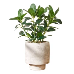 Kunstplant in pot