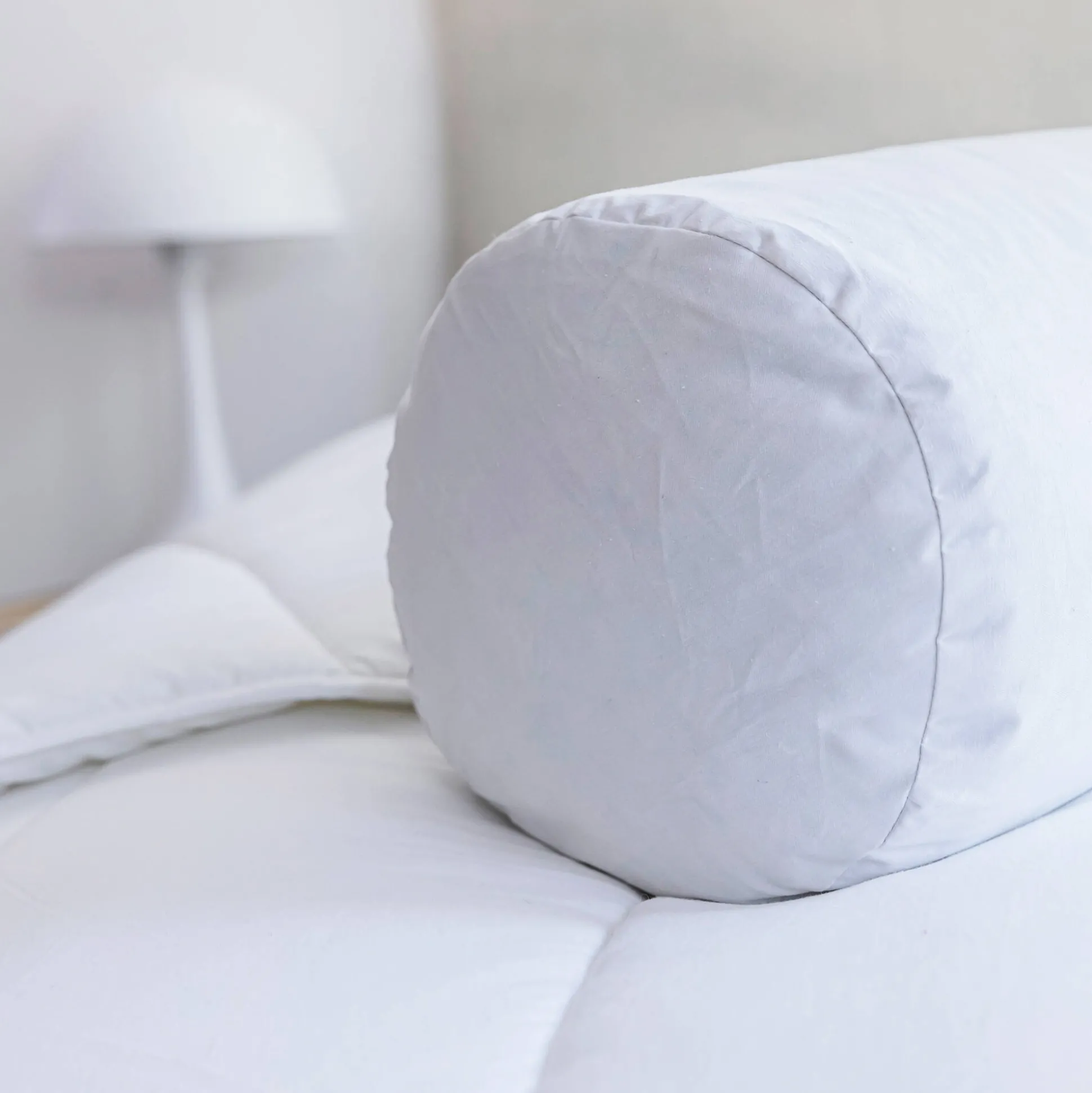 Natuurlijk peluwkussen Dodo® met Proneem® antihuisstofmijtbehandeling, stevig