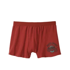 Shorty in katoen met geplaatste print - set van 2