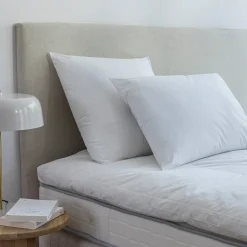 Stevig, anti-allergisch hoofdkussen met Proneem® antihuisstofmijtbehandeling