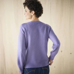 Trui met details in pointelletricot
