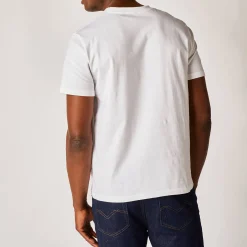 T-shirt met ronde hals en korte mouwen - set van 3